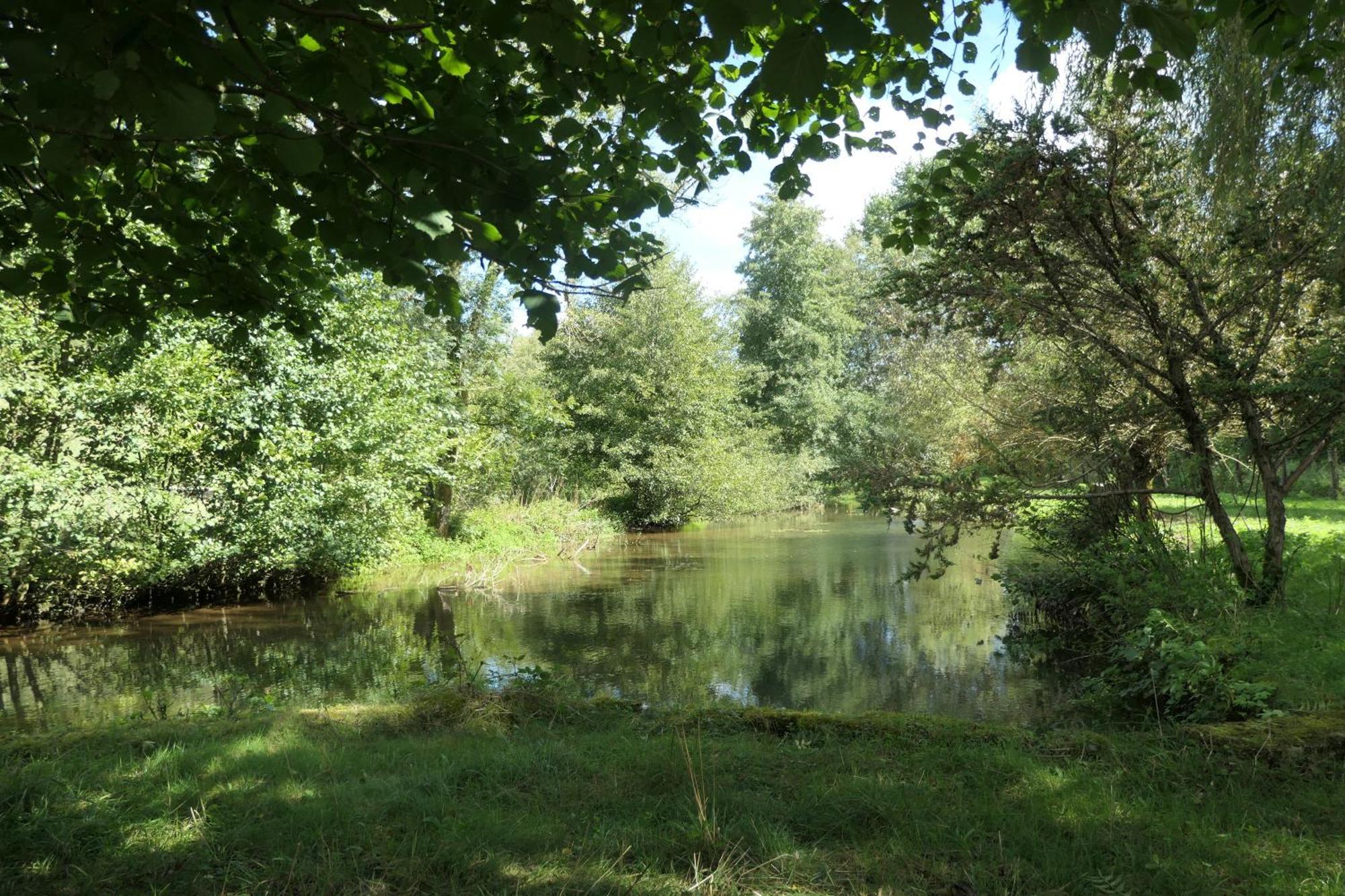 Le Moulin Aux Ecrevisses Bed and Breakfast Thonnance-lès-Joinville Buitenkant foto